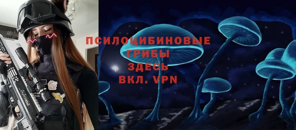 сатива Лабытнанги