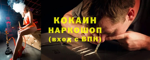 сатива Лабытнанги