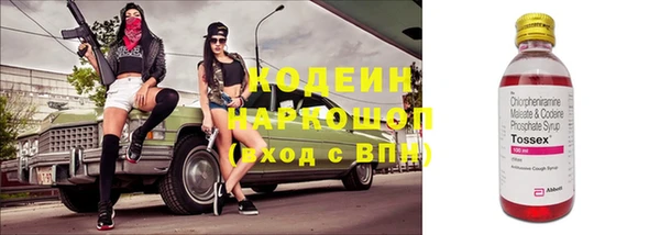 бошки Ладушкин