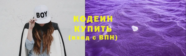 бошки Ладушкин