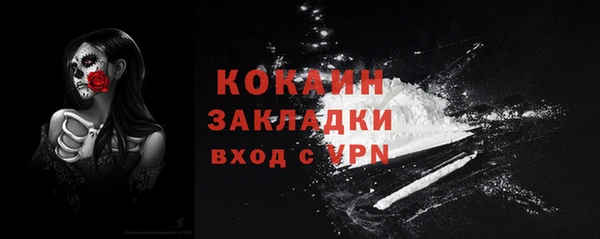 сатива Лабытнанги