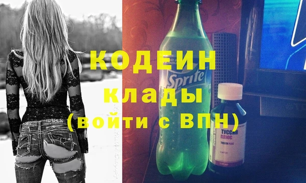 сатива Лабытнанги