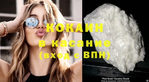 бошки Ладушкин