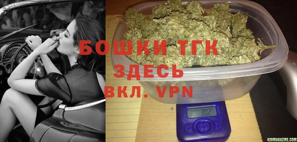 сатива Лабытнанги