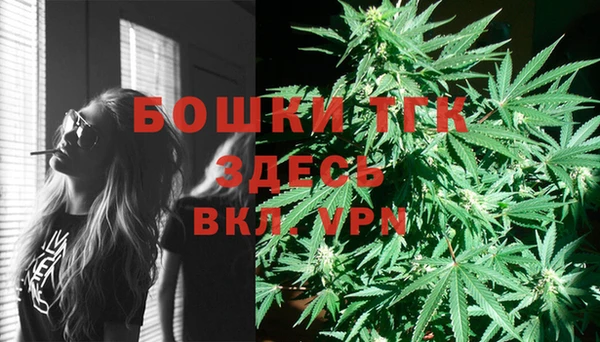 бошки Ладушкин