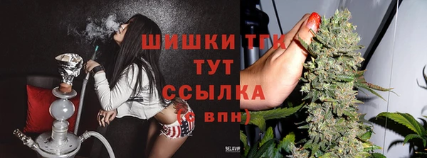 сатива Лабытнанги