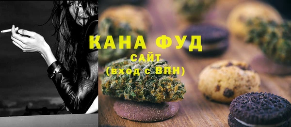 сатива Лабытнанги