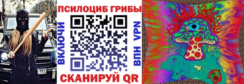 Купить закладки  Долинск  Псилоцибиновые грибы прущие грибы 